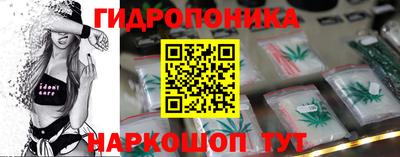 молекула духа Заволжье