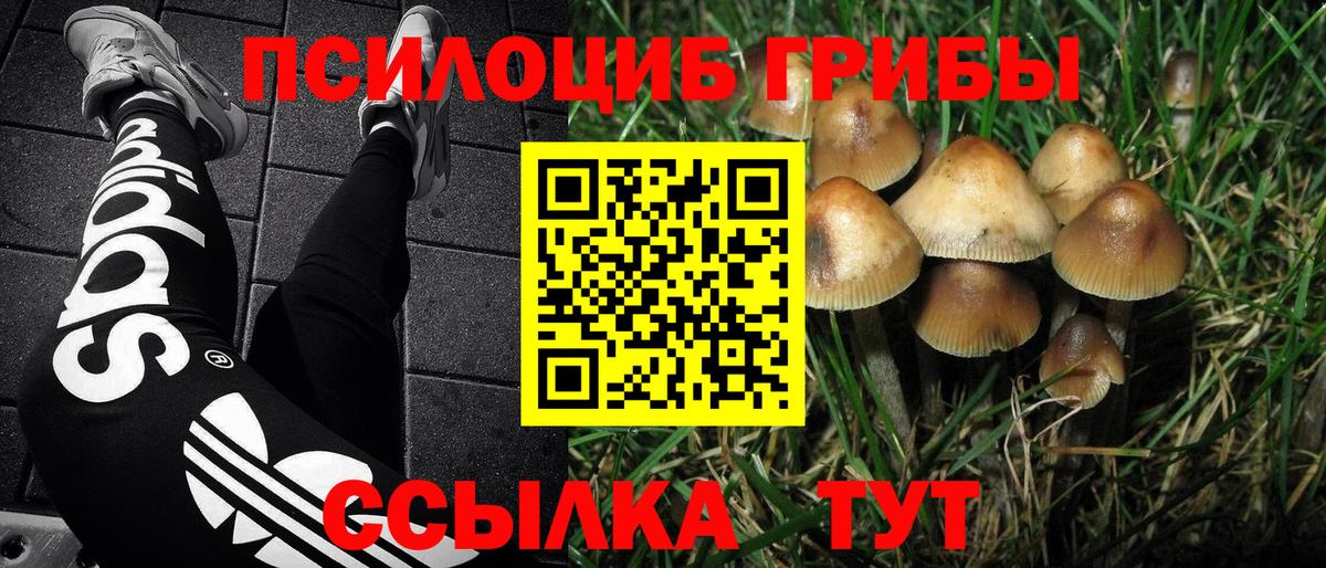 Ейск  Галлюциногенные грибы GOLDEN TEACHER  Вход с VPN 